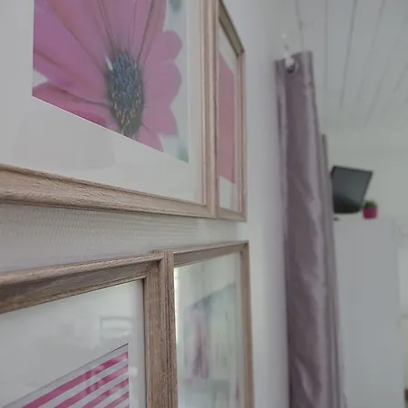 Les 4 Saisons 住宿加早餐酒店 Graye-sur-Mer