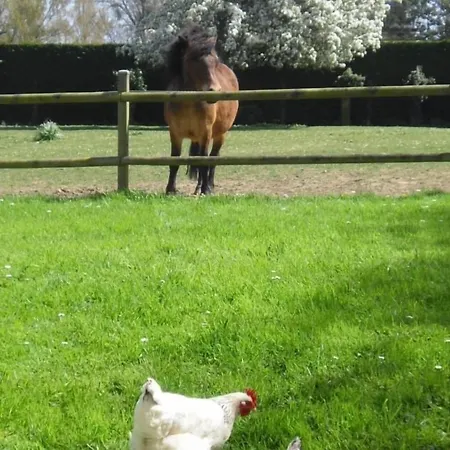 Bed & Breakfast Les 4 Saisons Graye-sur-Mer