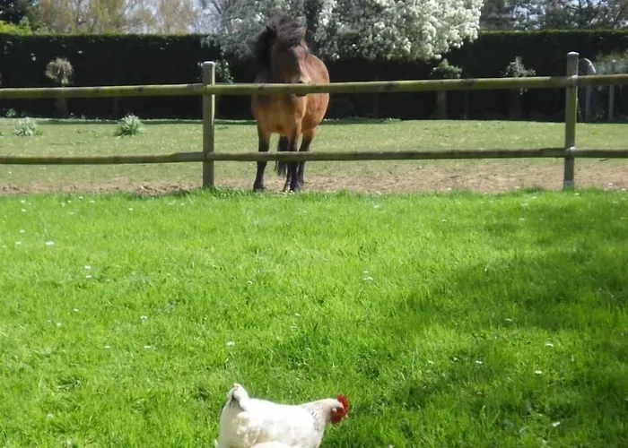 Bed & Breakfast Les 4 Saisons Graye-sur-Mer