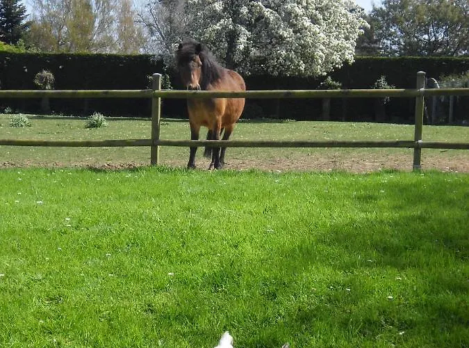 Les 4 Saisons Bed & Breakfast 3*